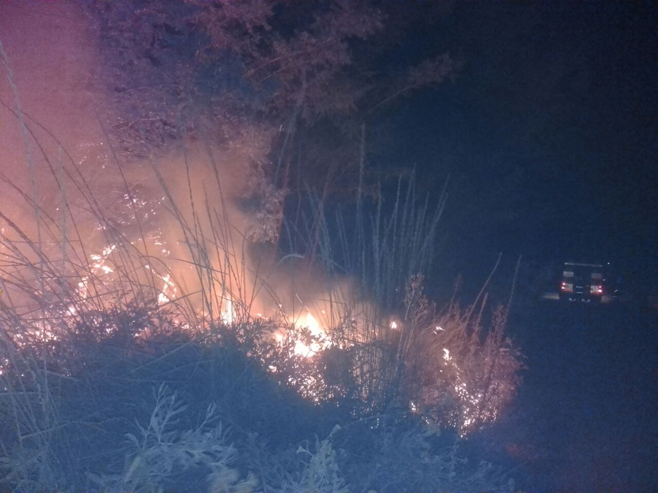 Imagen adicional