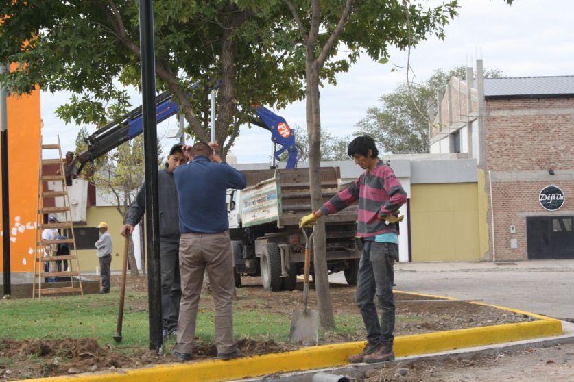 Imagen adicional