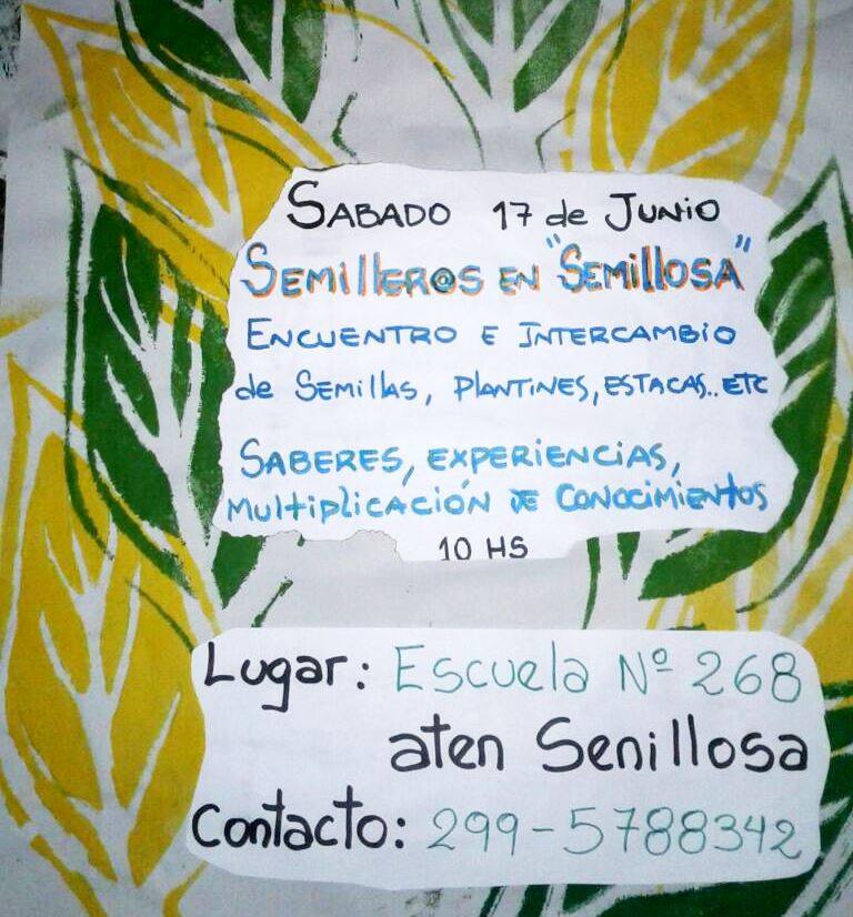 Imagen adicional
