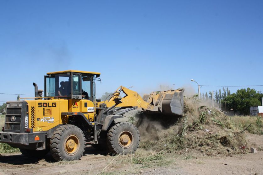 Imagen adicional