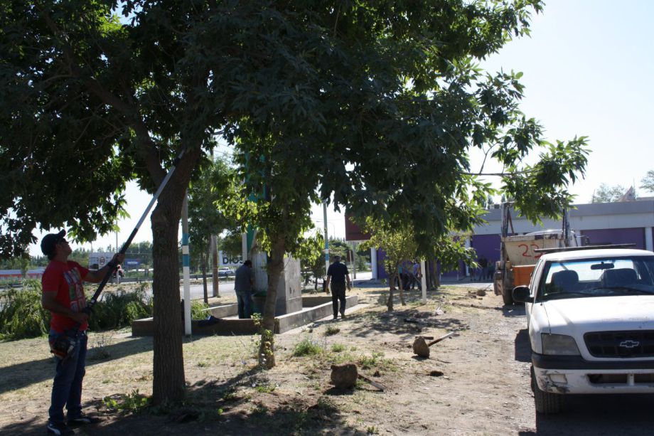 Imagen adicional