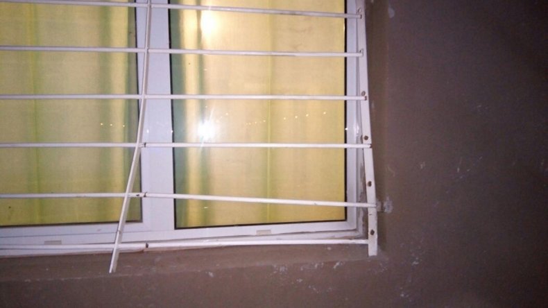 Imagen adicional