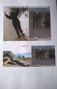 Imagen adicional