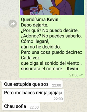 Imagen adicional