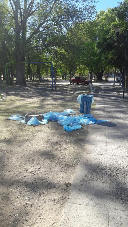 Imagen adicional