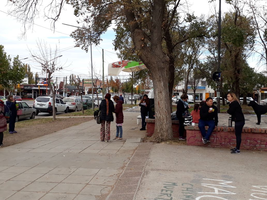 Imagen adicional