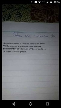 Imagen adicional