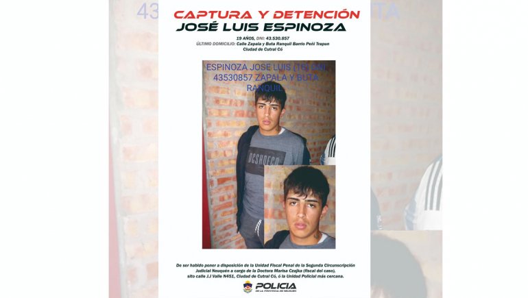 Imagen adicional