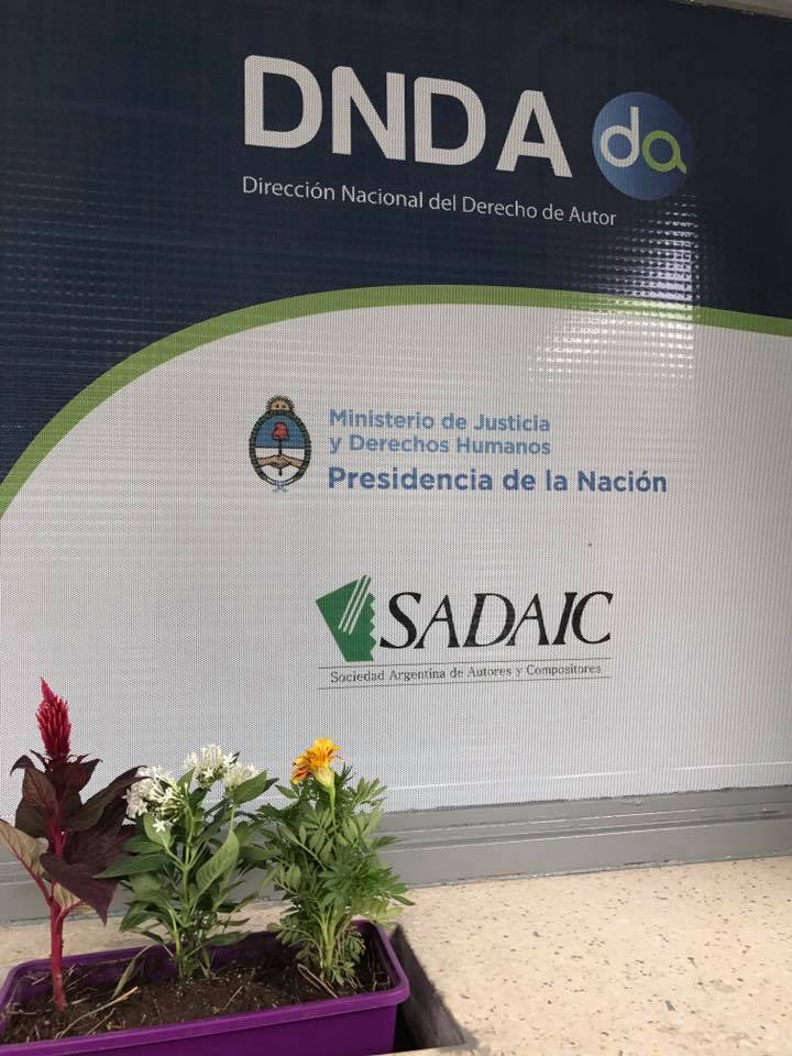 Imagen adicional
