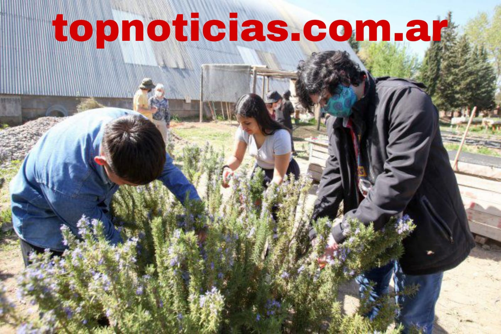 Imagen adicional