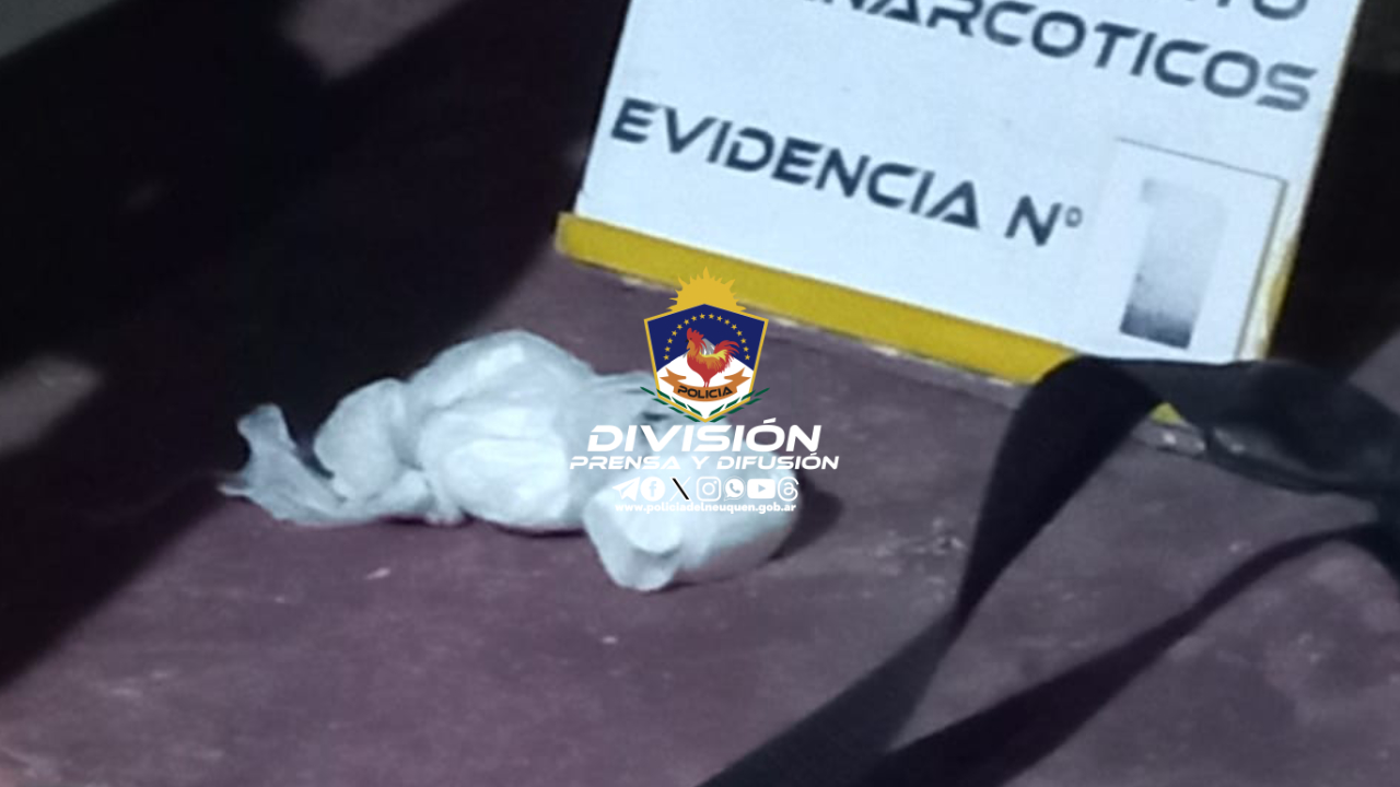 Imagen adicional
